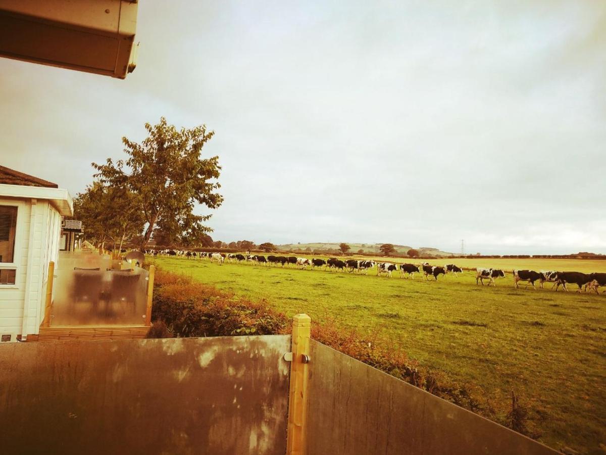19 Park Views Just Outside Penrith For Holidays And Short Breaks Please No Commercial Vans Thankyou High Hesket Exteriör bild